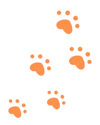 ねこの足あと